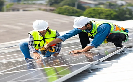 速看，這所2W人高校如何利用暑期，快速搭建綠色校園